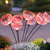 voordelige Landschapsverlichting-2 stuks buitenzonnevezel kwallen grond plug in licht binnenplaats tuin gazon pad bruiloft festival sfeer decoratieve licht