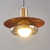 cheap Pendant Lights-22 cm Single Design Pendant Light Metal Glass Painted Finishes Modern 110-120V 220-240V