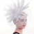 cheap Fascinators-Headdress Feather Fedora Hat Wedding Birthday Evening Party Tea Party Horse Race Elegant Vintage Cute With Feather Headpiece Headwear