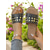 preiswerte Rutschsandalen-Schwarze Slide-Sandalen mit Nieten für Damen – trendige flache Schlupfsandalen mit goldenen Nieten für Sommer, Strand und Freizeitausflüge