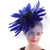 cheap Fascinators-Headdress Feather Fedora Hat Wedding Birthday Evening Party Tea Party Horse Race Elegant Vintage Cute With Feather Headpiece Headwear