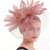 cheap Fascinators-Headdress Feather Fedora Hat Wedding Birthday Evening Party Tea Party Horse Race Elegant Vintage Cute With Feather Headpiece Headwear