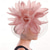 cheap Fascinators-Headdress Feather Fedora Hat Wedding Birthday Evening Party Tea Party Horse Race Elegant Vintage Cute With Feather Headpiece Headwear