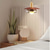 cheap Pendant Lights-22 cm Single Design Pendant Light Metal Glass Painted Finishes Modern 110-120V 220-240V