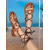 cheap Gladiator Sandals-Women's Black Gladiator Lace-Up Sandals – Trendy and Comfortable Flat Strappy Sandals for Summer Beachwear and Casual Outfits