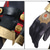 tanie Kostiumy anime-Saga Żywiołów Mavuika Anime Kostium Cosplay Peruki cosplay Garnitury cosplay Peruki cosplay Halloween Bal maskowy Spektakl Impreza Płaszcz Trykot opinający ciało / Śpiochy dla dorosłych Rękawiczki Na