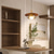 cheap Pendant Lights-22 cm Single Design Pendant Light Metal Glass Painted Finishes Modern 110-120V 220-240V