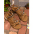 ieftine Sandale de vacanță-sandale plate de damă boeme cu margele florale – sandale gladiator cu slip-on în stil etnic pentru excursii la plajă și vacanțe de vară