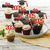 abordables Temporada de Graduación-Adornos para cupcakes de graduación 2025, 48 piezas, palillos para comida o aperitivos para fiesta de graduación, mini decoraciones para tartas, diploma 2025, juego de birrete de graduación 2025, 48