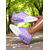 cheap Women&#039;s Sneakers-Women&#039;s Knit Running Shoes – Breathable Air Cushion Sneakers for Daily Walks, Gym Workouts, and Outdoor Sports