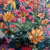 cheap Waterproof Curtains-Waterproof Outdoor Curtain Privacy, Sliding Patio Curtain Drapes, Pergola Curtains Grommet 3D Summer Floral Landscape For Gazebo, Balcony, Porch, Party, 1 Panel
