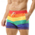 cheap Apparel-Rainbow Gay Pride Pride Shorts Board Shorts Sexy Mesh Rainbow Striped Men&#039;s Adults&#039; Beach Clubwear Pride Parade Carnival Easy Carnival Costume