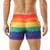cheap Apparel-Rainbow Gay Pride Pride Shorts Board Shorts Sexy Mesh Rainbow Striped Men&#039;s Adults&#039; Beach Clubwear Pride Parade Carnival Easy Carnival Costume