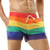 cheap Apparel-Rainbow Gay Pride Pride Shorts Board Shorts Sexy Mesh Rainbow Striped Men&#039;s Adults&#039; Beach Clubwear Pride Parade Carnival Easy Carnival Costume