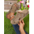 cheap Comfort Sandals-Women’s Rustic Peep-Toe Slide Sandals with Rivet Trim, Vintage Comfort Slippers for Garden Walks, Casual Homewear and Relaxed Outings