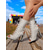 cheap Vacation Sandals-Women&#039;s Black Lace-up Peep Toe Ankle Boots – High Heel Suede Booties with Open Toe, Perfect for Music Festivals, Casual Outings, and Nightlife