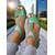 cheap Dress Sandals-Women&#039;s Black Peep Toe Mesh High Heel Sandals with Cutout Design - Stylish Breathable Heels for Casual Dates and Summer Outings