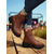 cheap Combat Boots-Women&#039;s Brown Lace-Up Combat Boots with Side Zipper and Chunky Lug Sole – Stylish Outdoor Ankle Boots for Fall, Winter, and Casual Streetwear