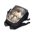 abordables Mochilas para Niños y Adolescentes-Conjunto de mochila de 3 piezas con estampado de lobo para niño: mochila escolar ligera y duradera con lonchera y estuche para lápices para estudiantes, aventuras al aire libre y viajes diarios. Kayomi Harai