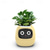 cheap Tool Accessories-Smart Flowerpots,Smart Pet Planter,Ai Planter,Intelligent Flowerpots,Multiple Expressions,7 Smart Sensors, and Ai Chips Make Raising Plants Easy and Fun for Living Room,Plant-Free