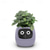 cheap Tool Accessories-Smart Flowerpots,Smart Pet Planter,Ai Planter,Intelligent Flowerpots,Multiple Expressions,7 Smart Sensors, and Ai Chips Make Raising Plants Easy and Fun for Living Room,Plant-Free