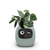 cheap Tool Accessories-Smart Flowerpots,Smart Pet Planter,Ai Planter,Intelligent Flowerpots,Multiple Expressions,7 Smart Sensors, and Ai Chips Make Raising Plants Easy and Fun for Living Room,Plant-Free