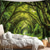 abordables Tapices de pared-tapiz Carteles Tapices 森林 Paisaje 3D Cuarto Sala Residencia universitaria Fondo de puerta de pared con decoraciones