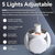 cheap Camping Lights &amp; Lanterns-Rechargeable Camping Lantern with Hook 1200 Lumens , IPX7 Waterproof LED Emergency Light - 1800mAh Battery, Solar/USB Charging, 5 Light Modes for Tent/Hiking/Hurricane