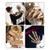 economico Halloween-Giorno dei morti messicano, grande oggetto decorativo elettrico, parco divertimenti di Halloween, casa stregata, scheletro sposa attivato dal movimento, accessorio decorativo