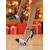 economico Pumps Classici-tacchi a spillo in vernice nera e rossa da donna - tacchi alti con punta a punta e cinturino per feste notturne e abbigliamento da discoteca