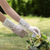 preiswerte Handschuhe-Spitze Handgelenklänge Handschuh Elegant / Party / Abend / Stilvoll Mit Unifarbe Hochzeit / Party-Handschuh
