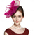 abordables Fascinateurs-Fascinators Tulle Plumes Chapeau Fedora Cocktail Mariage Fête du thé Course de Chevaux Élégant ancien Avec Plume Casque Couvre-chef