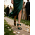 preiswerte Hochzeitsgast-grüne Satin-Sandalen mit offenen Zehen und Schleifendetail für Damen – elegante Hochzeits- oder Abendschuhe
