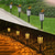 voordelige Landschapsverlichting-Op zonne-energie werkende padverlichting voor buiten, koel wit &amp;RGB-verlichting met schemeringssensor, waterdicht, geschikt voor tuin, terras, pad, erf, looppad, oprit, 2 standen