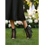 abordables Invitado a la boda-Botines peep toe con cordones para mujer con detalle de malla: elegantes tacones altos para bodas en el jardín, ocasiones especiales y atuendos de dama de honor, diseño cómodo y elegante.