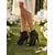 abordables Invitado a la boda-Botines peep toe con cordones para mujer con detalle de malla: elegantes tacones altos para bodas en el jardín, ocasiones especiales y atuendos de dama de honor, diseño cómodo y elegante.