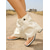 tanie Buty do kostki-Damskie czarne sandały typu gladiator z wysoką cholewką i ozdobnymi klamrami – odważny styl uliczny, wygodne, masywne buty z odkrytymi palcami na festiwale muzyczne na świeżym powietrzu i wydarzenia