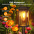 cheap Landscape Lights-1 Pack Solar Pathway Lights Outdoor, Solar Outdoor Lights, Bright Solar Garden Lights Waterproof, Auto On/Off Outdoor Solar Lights for Yard Landscape Path Lawn Patio Walkway
