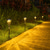 billige Landskapslys-Utendørs solcelledrevet IP65 vanntett trompetblomsterlampe, varm hvit + RGB, hagesti plendekor, gårdslandskapsbelysning, utendørs dekorativ aksentlampe, projektorlampe for hagen