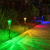 billige Landskapslys-Utendørs solcelledrevet IP65 vanntett trompetblomsterlampe, varm hvit + RGB, hagesti plendekor, gårdslandskapsbelysning, utendørs dekorativ aksentlampe, projektorlampe for hagen