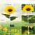 abordables Éclairages pour allées-Poteau lumineux solaire en forme de tournesol à LED - Lampe végétale artificielle pour allée ou cour, idéale pour les fêtes. &amp;décoration paysagère, lampe de sol étanche pour pelouse