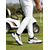 tanie Męskie buty golfowe-Męskie Zabytkowe Sportowy Codzienny Codzienny Na zewnątrz Golf Mikrowłókno Wygodny Sznurowane Czarny i biały Biały / Niebieski Czarny Lato Wiosna Jesień