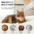 cheap Nail Clippers &amp; Grinders-Wireless Dog Paw Trimmer with Strong Suction Vacuum | Automatic Hair Collection, USB Rechargeable, Low Noise, Suitable for Small and Large Dogs, Cats