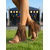 baratos Mulheres-Sandálias gladiadoras com franjas e salto plataforma para mulheres – botas de cano curto estilo boho com borlas, perfeitas para festivais de música, férias de verão e festas ao ar livre.
