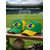 levne Příslušenství-Pánská polyesterová baseballová čepice s brazilskou vlajkou, nastavitelná velikost, fotbalová fanklubová čepice pro zápasy, akce pro fanoušky fotbalu, běžné sportovní oblečení a každodenní outdoorové nošení.