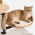 voordelige Kattenbomen-Houten, in hoogte verstelbare, verhoogde kattenbak met bureau en bed