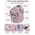 cheap Kids &amp; Teen Backpacks-Student School Backpack, Large Capacity Multi-Compartment Bookbag, Waterproof Polyester Laptop Daypack, Multi Colors, Perfect for High School, College, Travel, Commute, Daily Campus