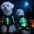 olcso Halloween kisállat jelmez-kutya csontváz jelmez sötétben világító halloweeni overál 4 lábú body kis kutyáknak