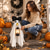 abordables Vêtements &amp; Accessoires-Kit de déguisement d'oie fantôme pour Halloween, comprenant un nœud décoratif en tissu et une mini-lanterne, une tenue festive pour figurine de jardin, idéale pour décorer l'entrée ou pour une fête en