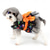 cheap Apparel &amp; Accessories-Halloween Dog Dresses for Small Dogs Cats Skulls Puppy Girl Halloween Costumes Fancy Dress Soft Pet Layered Lace Skirt with Bow Knot Chihuahua Yorkie Clothes Outfits